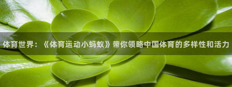 182体育怎么样：体育世界：《体育运动小蚂蚁》带你领略中国体育的多样性和活力