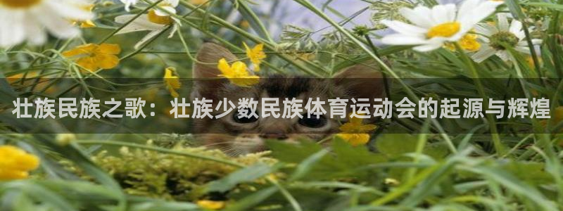182体育红单足球官网入口：壮族民族之歌：壮族少数民族体育运动会的起源与辉煌