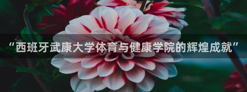 182体育红单足球官网入口：“西班牙武康大学体育与健康学院的辉煌成就”