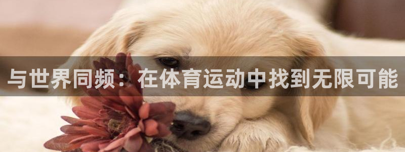 182体育：与世界同频：在体育运动中找到无限可能