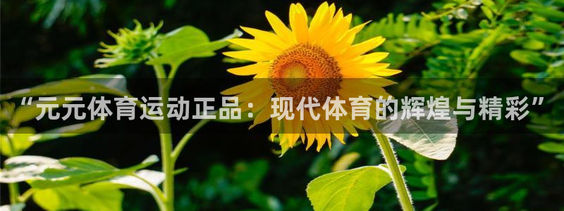 182体育app官方下载入口：“元元体育运动正品：现代体育的辉煌与精彩”